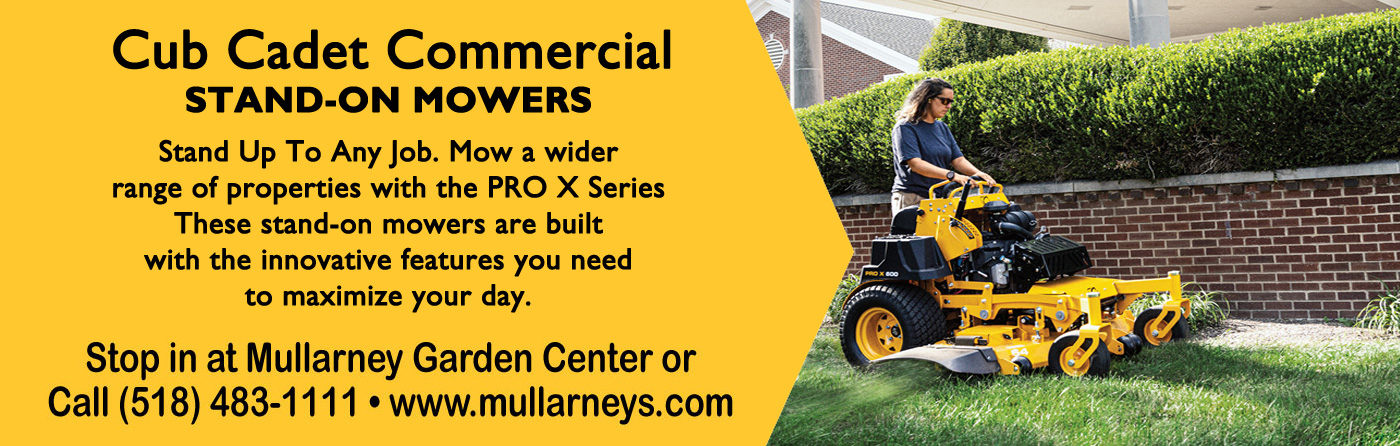 Cub cadet Stand on mowers